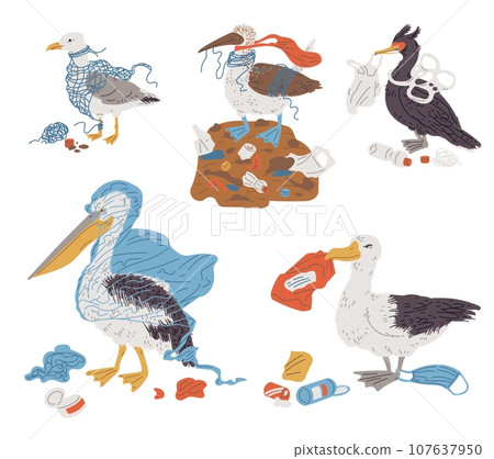 Set of sea birds in trash flat style, vector illustration 107637950
