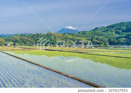 (Shizuoka Prefecture) Upside down Fuji reflected in rice fields, Mt. Fuji seen from Tanna Basin (Shizuoka Prefecture) Upside down Fuji reflected in rice fields, Mt. Fuji seen from Tanna Basin 107637955