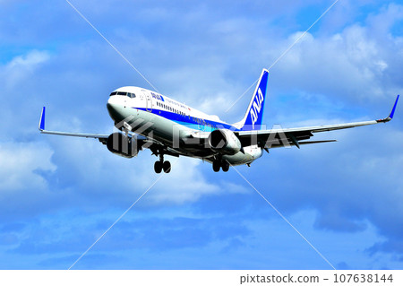 大阪國際機場全日空飛機降落準備就緒川ji千里 107638144