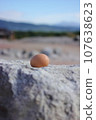 Hot spring egg 107638623