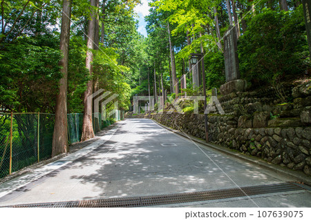 Mitsumine Shrine approach, midsummer scenery, Chichibu City Mitsumine Shrine approach, midsummer scenery, Chichibu City 107639075
