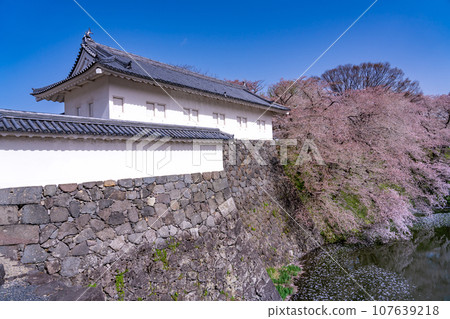 Yamagata Castle Ruins Higashi Otemon and moat in Kajo Park, Yamagata Prefecture 107639218