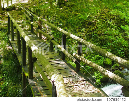 Tsukechi Gorge/Suspension Bridge B with a rich forest bathing environment 107639452