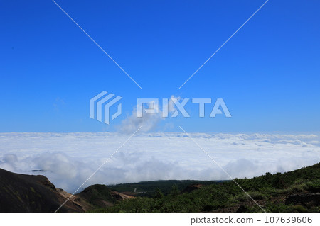 從山徑的一個看法 從山徑的一個看法 107639606