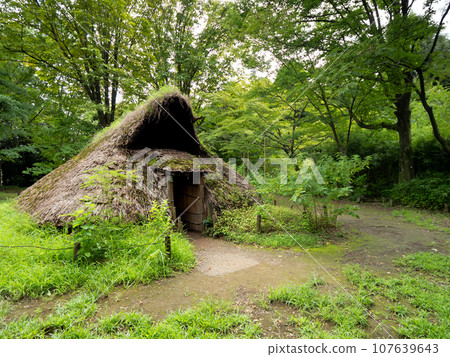 修復後的坑式住宅，繩文村，東京 107639643