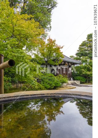 Kenninji Ossuary Tsukubai (Higashiyama Ward, Kyoto City) 107639671