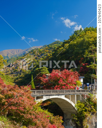 山梨縣_昇仙峽和長潭大橋的壯麗秋葉景觀 107640423