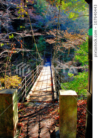 Tokeibashi Bridge is a scenic spot along the Okutama Fureai Forest Bathing Course. 107640443
