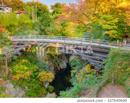 Yamanashi_A spectacular view of Kai's Saruhashi bridge and autumn leaves Yamanashi_A spectacular view of Kai's Saruhashi bridge and autumn leaves 107640690
