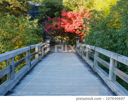 山梨縣_甲斐猿橋和紅葉的壯麗景色 山梨縣_甲斐猿橋和紅葉的壯麗景色 107640697