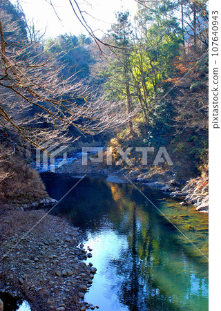 Autumn leaves on the Okutama River seen while crossing the Tokei Bridge Autumn leaves on the Okutama River seen while crossing the Tokei Bridge 107640943