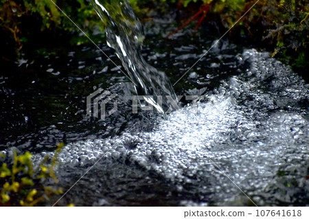 Shimane Japanese Garden Yushien 107641618