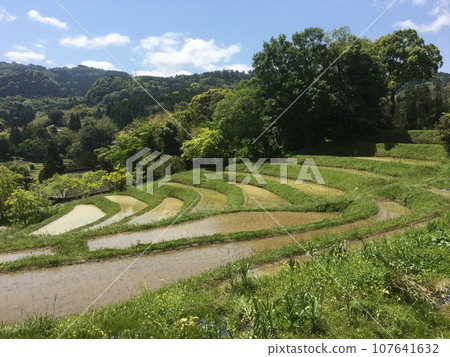 Oyama Senmaida, rice terraces on the top tier that have just finished planting rice Oyama Senmaida, rice terraces on the top tier that have just finished planting rice 107641632