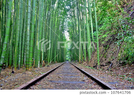 鳥取 廢棄鐵路遺址 竹林 舊國鐵 倉吉線 廢棄鐵路遺址 107641706