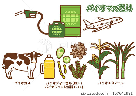 Set of illustrations of biofuel types and raw materials (Japanese) Set of illustrations of biofuel types and raw materials (Japanese) 107641981