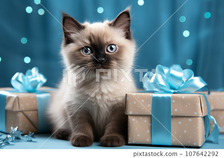 藍色絲帶禮物盒和藍眼睛小貓生成ai 107642292