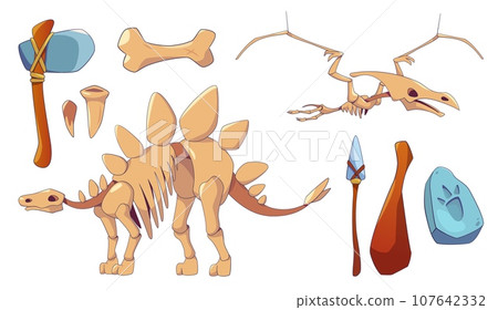 Dinosaur skeleton icon and fossil set for museum 107642332