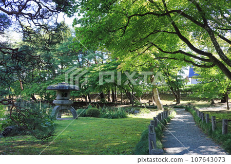 舊南部氏別墅花園,夏末的炎熱景色 舊南部氏別墅花園,夏末的炎熱景色 107643073