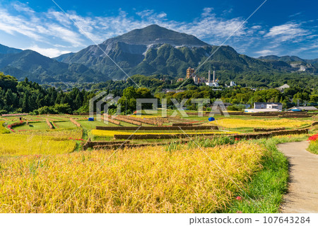 [埼玉縣]秋天的秩父、收穫季節的寺坂梯田 107643284
