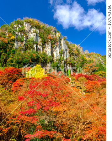 大分矢馬溪_秋葉八景一覽 107643866