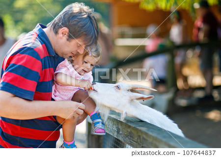 Adorable cute toddler girl and young father feeding little goats and sheeps on a kids farm. Beautiful baby child petting animals in petting zoo. man and daughter together on family weekend vacations. 107644837