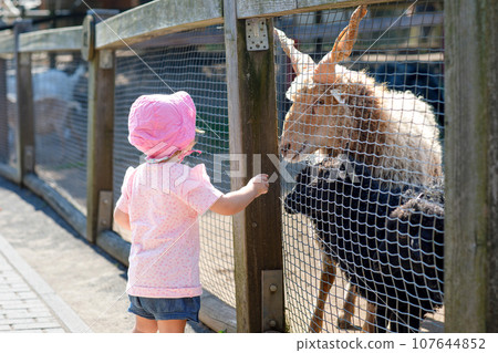 Adorable cute toddler girl feeding little goats and sheeps on a kids farm. Beautiful baby child petting animals in petting zoo. Excited and happy girl on family weekend. 107644852