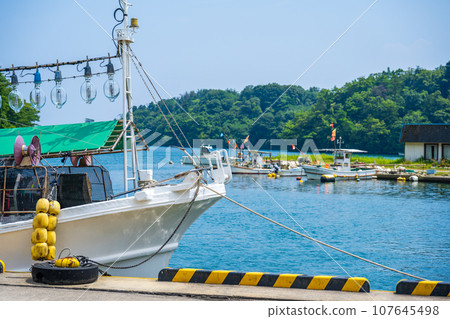 Kujuku Bay in summer with its squid industry and scenic cove | Noto Peninsula image | Noto image | Noto Town, Ishikawa Prefecture 107645498