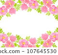 Hermanus flower watercolor frame 107645530