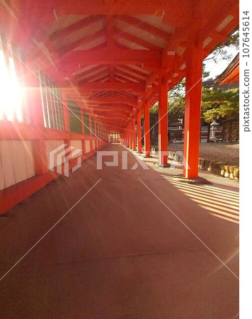 神社 107645614
