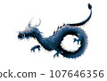 Blue dragon 107646356