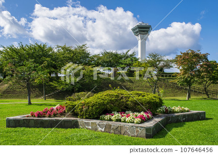 Hakodate City Hakodate Goryokaku Garden Scenery 107646456