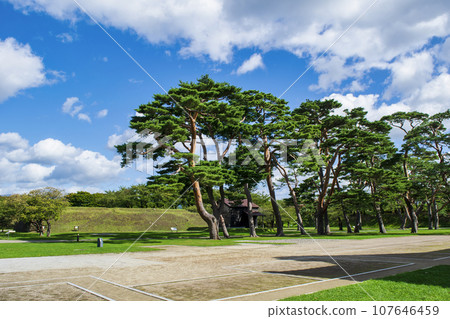 函館市 函館五陵郭庭園風景 107646459