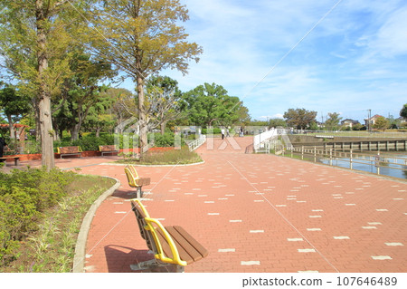 手賀沼公園 我孫子市 107646489