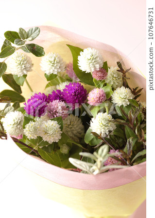 Bouquet of crape myrtle Bouquet of crape myrtle 107646731