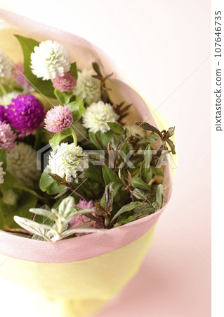Bouquet of crape myrtle Bouquet of crape myrtle 107646735