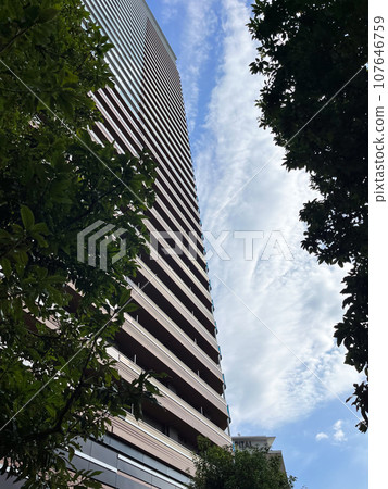 High-rise tower apartment looking up 107646759