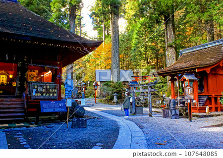 [Tochigi] Autumn Nikko Futarasan Shrine Shinto Garden Daikokuden and Tomo Shrine 107648085