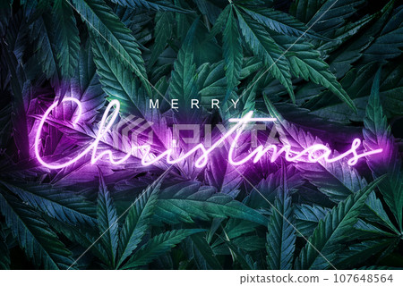 Holiday background with the inscription Merry Christmas on green cannabis leaves. Holiday concept, glowing lettering with Merry Christmas greetings on marijuana backdrop Template for design for hemp Holiday background with the inscription Merry Christmas on green cannabis leaves. Holiday concept, glowing lettering with Merry Christmas greetings on marijuana backdrop Template for design for hemp 107648564