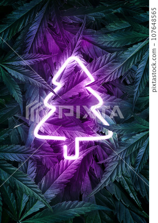 Symbol of the New Year, a neon tree on a background of marijuana leaves. Glowing Christmas tree on the backdrop with marijuana. Template for New Year design for hemp 107648565