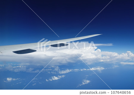 Wing Wing 107648656