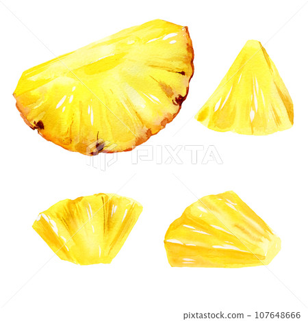 watercolor hand drawn illustration of pineapples slices, ripe triangular pieces of pineapple, sketch of tropical fruit, food illustration isolated on watercolor background watercolor hand drawn illustration of pineapples slices, ripe triangular pieces of pineapple, sketch of tropical fruit, food illustration isolated on watercolor background 107648666