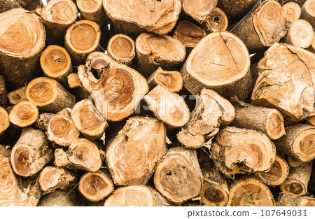 Stack of brown circle wood Stack of brown circle wood 107649031