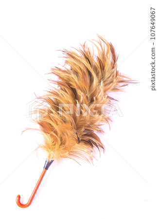 Feather cleaning on isolated white background Feather cleaning on isolated white background 107649067