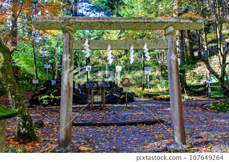 [栃木縣]秋天的日光二荒山神社 - 神社花園內日光連峰的鳥居參拜場所 107649264
