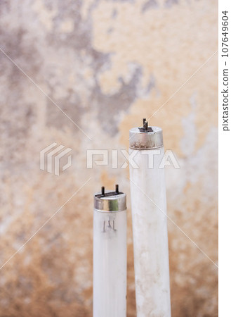 Selected focus fluorescent light tube. 107649604