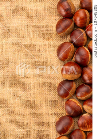 Chestnut Chestnut 107649809