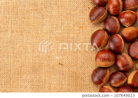 Chestnut  107649813
