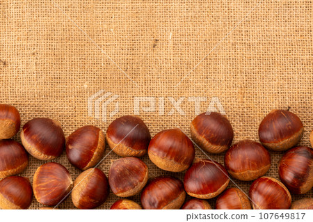 Chestnut Chestnut 107649817