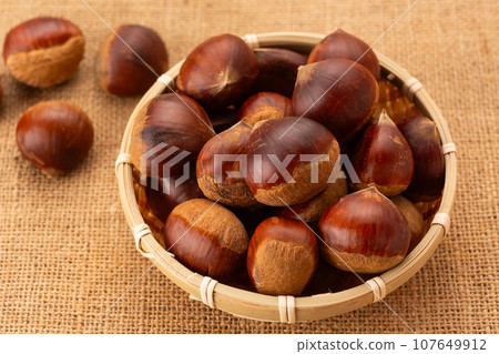 Chestnut Chestnut 107649912