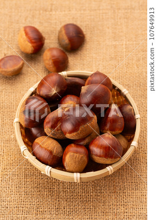 Chestnut Chestnut 107649913